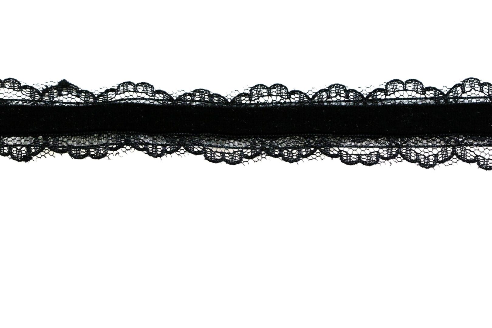 Black lace trim with scalloped edges on white background.